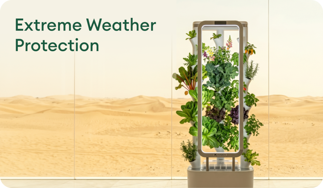 Extreme Weather Protection