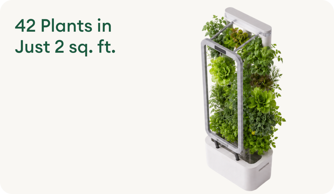 42 Plants in Just 2 sq. ft.