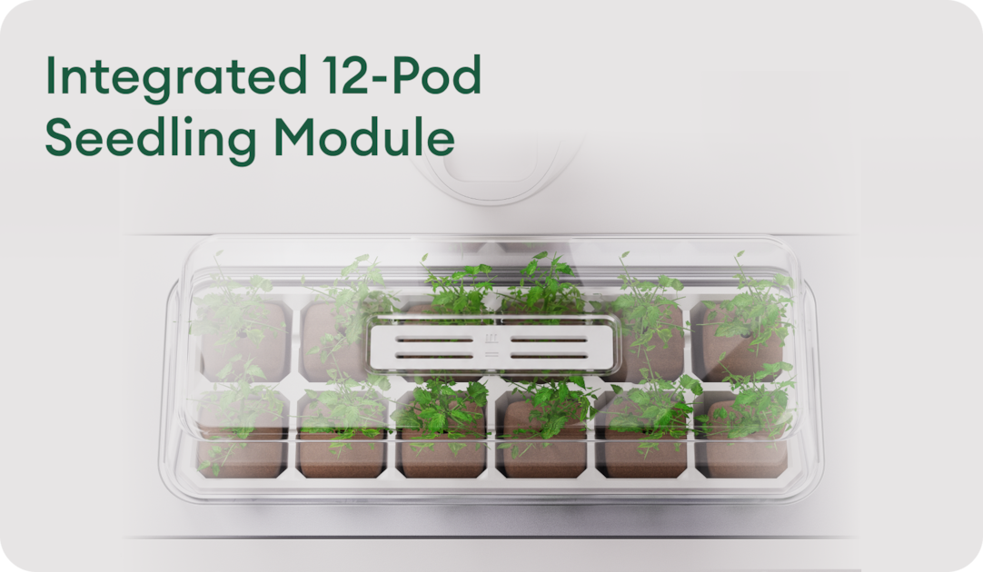 Integrated 12-Pod Seedling Module