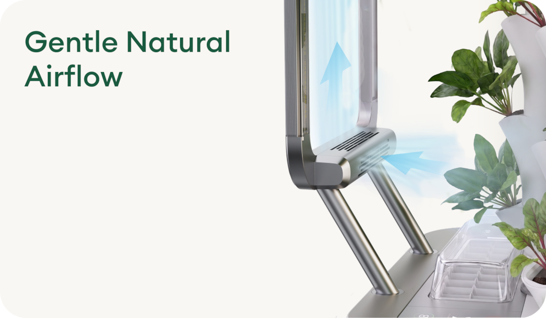 Gentle Natural Airflow