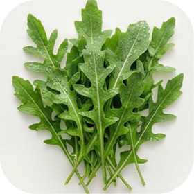 Arugula